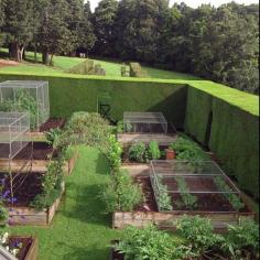 
                    
                        Pigott's wonderful vegetable garden - portable screen covers over raised beds
                    
                