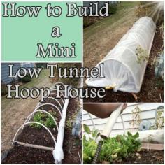 
                    
                        The Homestead Survival | How to Build a Mini Low Tunnel Hoop House | Gardening - DIY Project - Homesteading thehomesteadsurvi...
                    
                