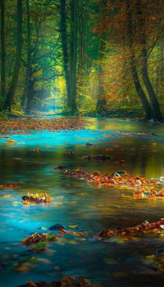 
                    
                        Magic light in the Spessart Mountains of Bavaria,   Germany
                    
                