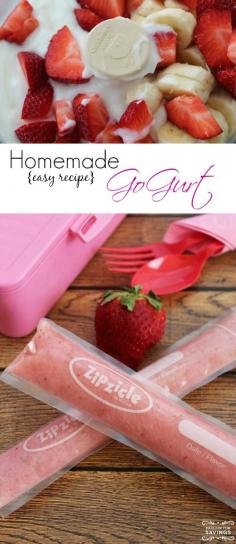 
                    
                        Homemade GoGurt Recipe! Easy Homemade Yogurt that your kids will love!
                    
                
