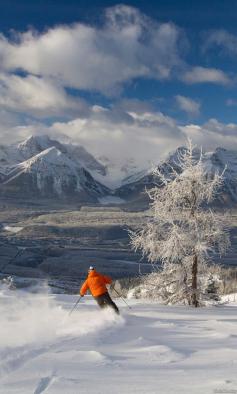 
                    
                        With 4,200 acres of skiable terrain, the Lake Louise Ski Resort is arguably one of the most scenic ski areas on earth.
                    
                