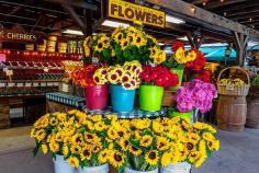 
                    
                        flowers - farm shop display idea
                    
                