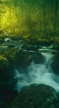 
                    
                        Black woods in the Apennine Mountains of northern Italy • photo: Enrico Fossati on 500px
                    
                
