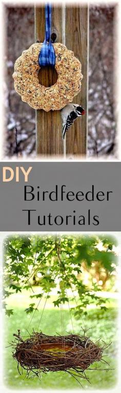 
                    
                        Great ideas for homemade birdfeeders. Great ideas and tutorials for DIY birdfeeders. Fun projects and designs to feed the birds!!!
                    
                