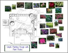 
                    
                        Landscape design with plant photos!
                    
                