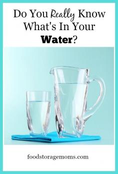 
                    
                        Do You Really Know What's In Your Water Today | by FoodStorageMoms.com
                    
                