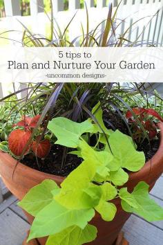 
                    
                        5 tips to plan and nurture your garden this season from Uncommon Designs.
                    
                