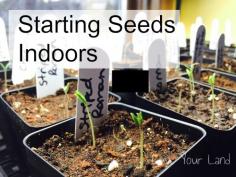
                    
                        Anyone out there still early enough to start seeds indoors?  Starting Tomatoes and Peppers. www.simplycanning...
                    
                