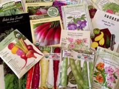 
                    
                        Valuable information is on seed packaging
                    
                