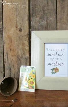 
                    
                        You are my sunshine printable created by Glamorous, Affordable Life for Just Us Four!
                    
                