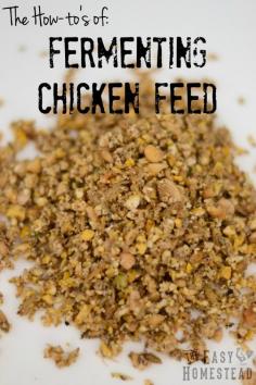 
                    
                        Fermented Chicken Feed | The Easy Homestead (.com)
                    
                