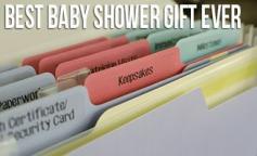 
                    
                        Best Baby Shower Gift Ever - a folder to organize all the important papers and documents that go along with having a baby.  So practical!
                    
                