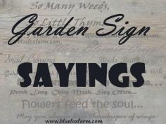 
                    
                        Just a few #gardensignsayings to paint on rustic garden signs...
                    
                