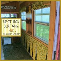 
                    
                        Before my first flock members were old enough to lay eggs, some of them were using the nest boxes as bedrooms. Chickens poop a lot while they sleep and I knew that I had to put a stop to the nightly nest box occupations. I had read that hanging burlap in front of the nest boxes could deter these unwanted slumber parties and figured it was worth a try.
                    
                