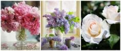 
                    
                        The Most Popular Flowers for Each Month of Spring  - HouseBeautiful.com
                    
                