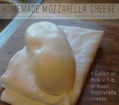 
                    
                        Homemade Mozzarella Cheese : One gallon of milk will give you 1 pound of fresh mozzarella cheese. (I paid $2.39 for the milk - $2.39 for 1 lb. fresh mozzarella). Homemade Mozzarella Mozzarella Cheese is one of the easiest cheeses to make, it only takes 30 minutes and the taste can't be beat!  happymoneysaver.com
                    
                
