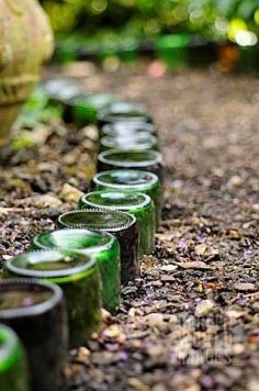 
                    
                        Glass bottles used as edging...wow!!!
                    
                
