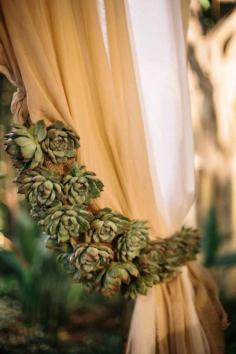 
                    
                        Succulent Tie-Backs -- Wow! See more of the incredible wedding flowers by BradAustin.com on #SMP: www.stylemepretty... Photography: Laura Kleinhenz, Docuvitae.com
                    
                