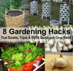 
                    
                        gardening hacks
                    
                