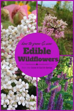 
                    
                        How to Grow and Use Edible Wildflowers from the Grow it! Eat it! Series
                    
                