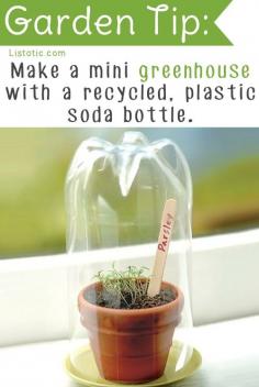 
                    
                        20 Insanely Clever Gardening Tips And Ideas
                    
                