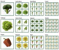 
                    
                        Lots of info on square foot gardening, and several tips that will work for container and regular gardening as well
                    
                