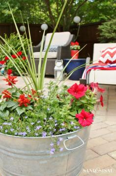 
                    
                        Red, White, and Blue Galvanized Pail Planter
                    
                