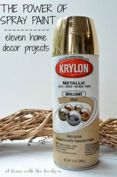 
                    
                        The power of spray paint and how it can transform eleven home decor projects. Quick, easy and transformed!
                    
                