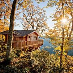 
                    
                        Treehouse Fall Weekend Getaway - Virginia's Primland Resort.  I could make this a permanent "getaway"!
                    
                
