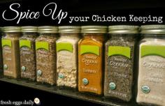 
                    
                        Spice Up your Chicken Keeping for Better Flock Health | Fresh Eggs Daily®
                    
                