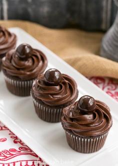 
                    
                        Perfect Chocolate Cupcakes | Terrific chocolate cupcakes with a swirl of decadent chocolate buttercream
                    
                