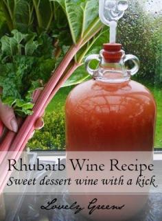 
                    
                        This recipe shows you how to use fresh rhubarb to make homemade sweet dessert wine with a kick #wine
                    
                