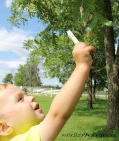 
                    
                        Bring clothespins outside to strengthen little hands for future writing! Such a great idea!
                    
                