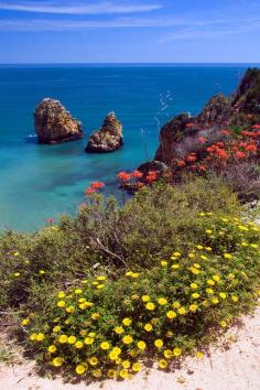 
                    
                        Atlantic coast of the Algarve in Portugal
                    
                