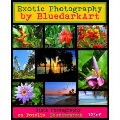 
                    
                        ☀#Exotic #Photography by #BluedarkArt ☀ by bluedarkart on #Polyvore  "My #Tropical #Soul" •
                    
                