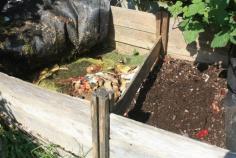 
                    
                        Compost piles - great for helping your plants grow to full potential, but also help house hedgehogs.
                    
                
