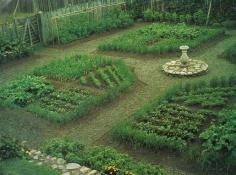 
                    
                        Edible landscaping. This practice is spreading in So Cal where I live. I really want to give it a try!
 

Edible Landscaping
 
 
Sometimes we think our yard is too small to really have a garden. Usually we don’t want to give up beauty for the practicalit
                    
                