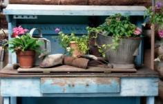 
                    
                        Container Gardening in Shade
                    
                