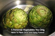 
                    
                        5 Perennial Vegetables You Only Need To Plant Once and Enjoy Forever
                    
                