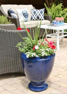 
                    
                        Make a Red, White, and Blue Planters for Memorial Day and The 4th of July. + Patriotic Patio Ideas
                    
                