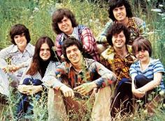 
                    
                        Keeping it in the family: The Osmond brothers in 1971 with sister Marie. From left to right: Donny, Marie, Merrill, Jay, Alan, Wayne and Jimmy
                    
                