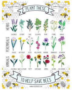 
                    
                        16x20+Plant+These+to+Help+Save+Bees+Poster+by+HannahRosengren,+$32.00
                    
                