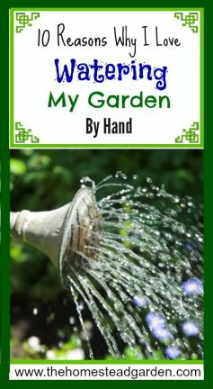 
                    
                        10 Reasons Why I Love Watering My Garden By Hand
                    
                
