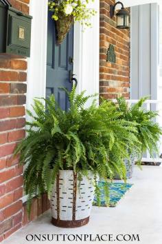 
                    
                        Olive bucket planters filled with ferns add a vintage farmhouse element to any front porch. DIY and easy to do!
                    
                