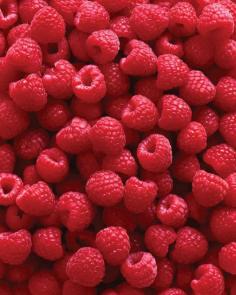 
                    
                        Long-time love of luscious berries becomes a family project in growing raspberries.
                    
                