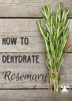 
                    
                        Rosemary is a great evergreen herb that you can harvest all year long. But if your plant hasn&#x27;t reached gargantuan sizes,  yet, or if you aren&#x27;t able to grow it, you can dehydrate it to have in your pantry all  year!
                    
                