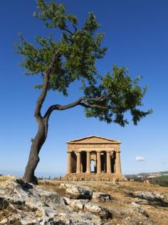 
                    
                        Tempio Di Concordia (Concord), Valle Dei Templi, UNESCO World Heritage Site, Agrige, Sicily | Free travel guides to Sicily and the rest of Italy !
                    
                