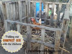 
                    
                        Why it might be a good idea to move the Compost Bin into the Chicken Area
                    
                