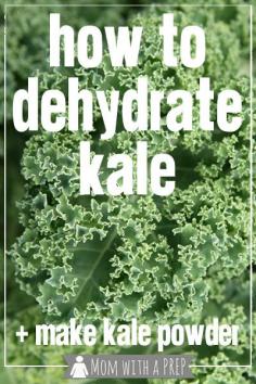 
                    
                        How to Dehydrate Kale for Making Kale Chips or Kale Powder - fabulous method to preserve kale well past the season!  // Mom with a PREP
                    
                