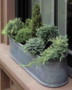 
                    
                        Plant, water, enjoy: easy-to-create container gardens to brighten every corner of your yard from spring to fall. Create a winter forest in miniature to enjoy all year long by potting low-maintenance dwarf conifers.
                    
                